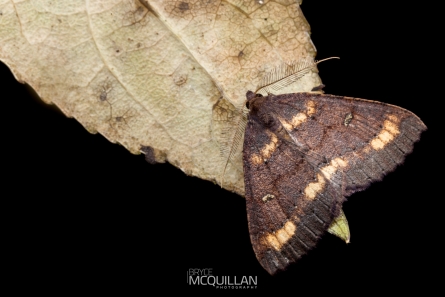 _MG_3057E