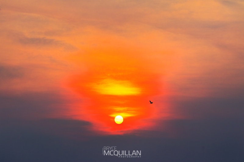 McQuillan11496E