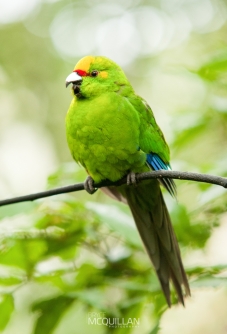 DSC_7889E.jpg