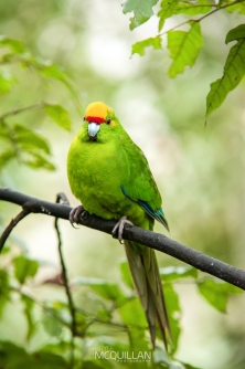 DSC_7902E.jpg