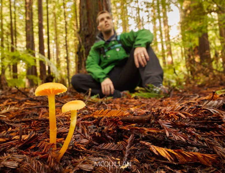 _MG_3483E