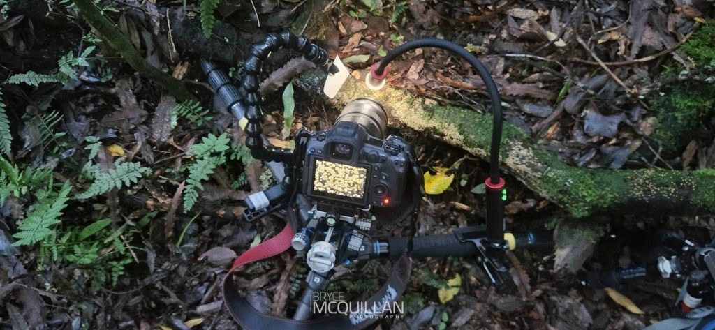 Benro field macro studio setup