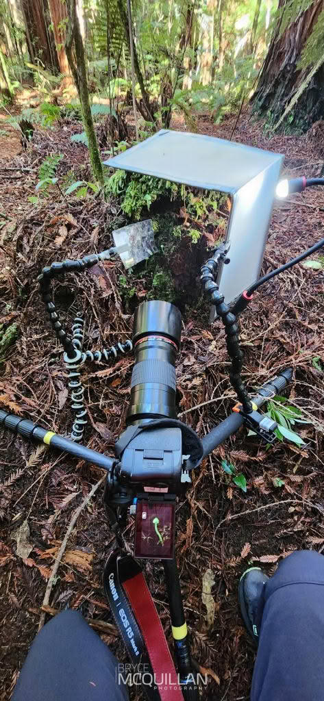 Tripod positioned for photography
