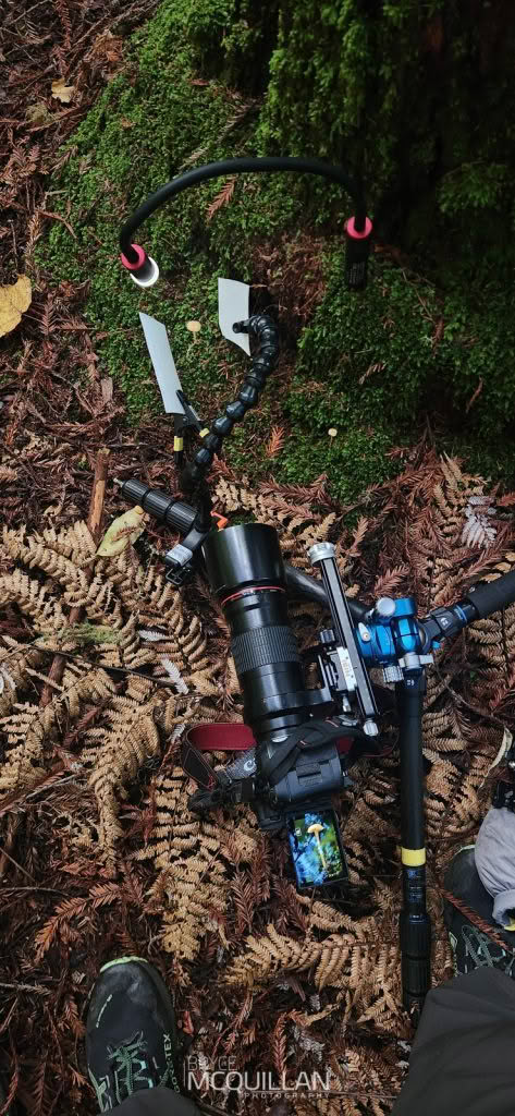 Benro Mach3 and GD36PT field setup