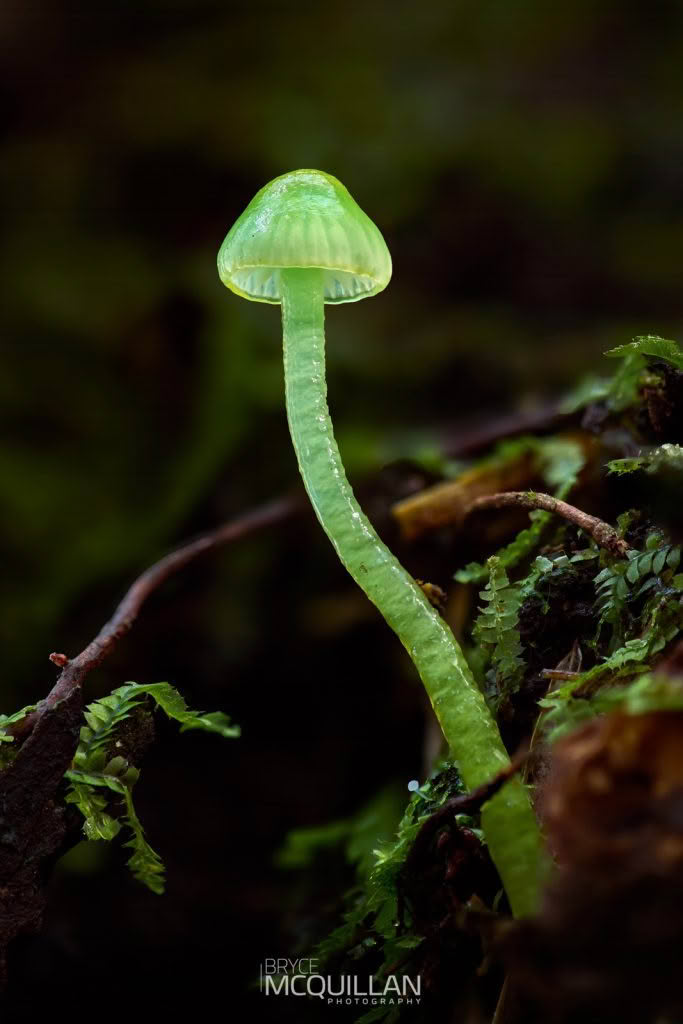 Photograph made using a tripod