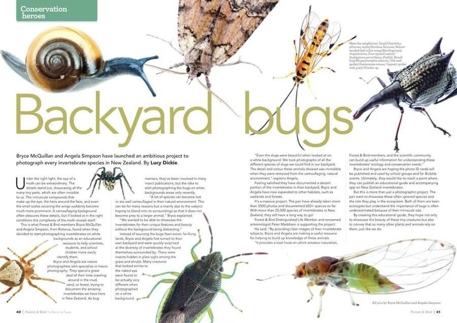 Forest and Bird Issue 363 Autumn 2017 pages 40 to 41