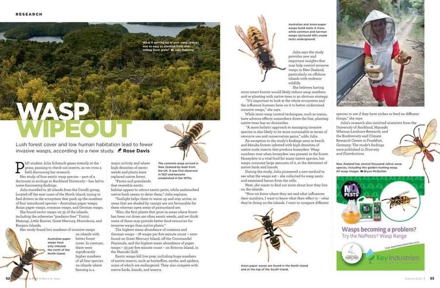 Forest and Bird Issue 375 Autumn 2020 Wasp Wipeout pages