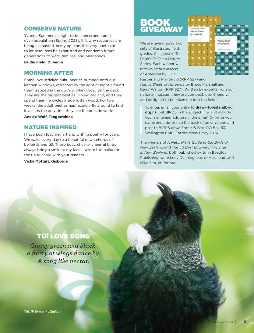 Forest and Bird Issue 391 Autumn 2024 Nature Inspired page