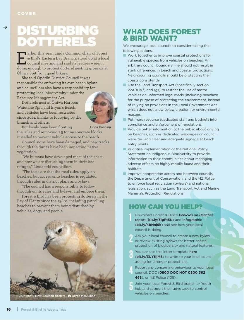 Forest and Bird Issue 391 Autumn 2024 Disturbing Dotterels page