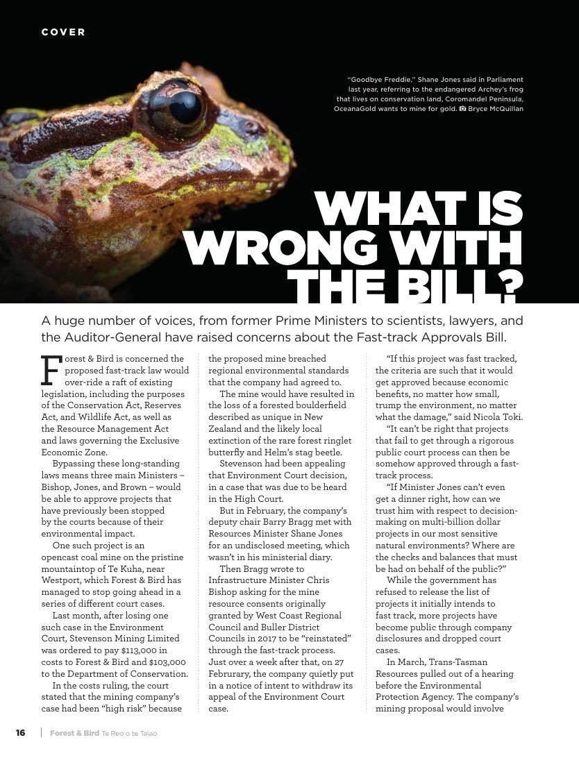 Forest and Bird Issue 392 Winter 2024 Fast Track Archeys Frog page