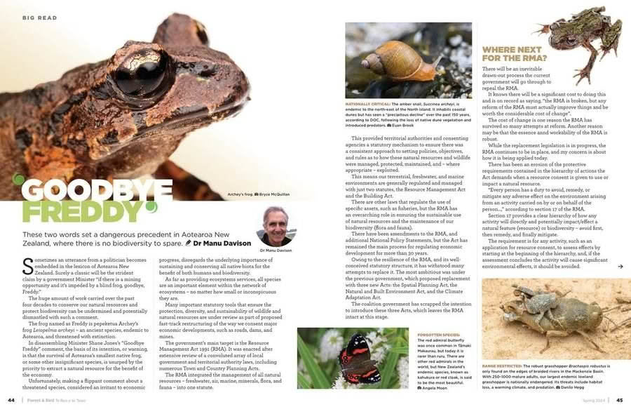 Forest and Bird Issue 393 Spring 2024 Goodbye Freddy pages