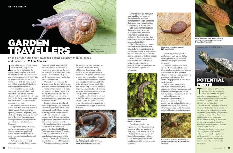 Forest and Bird Issue 394 Summer 2024 Garden Travellers pages