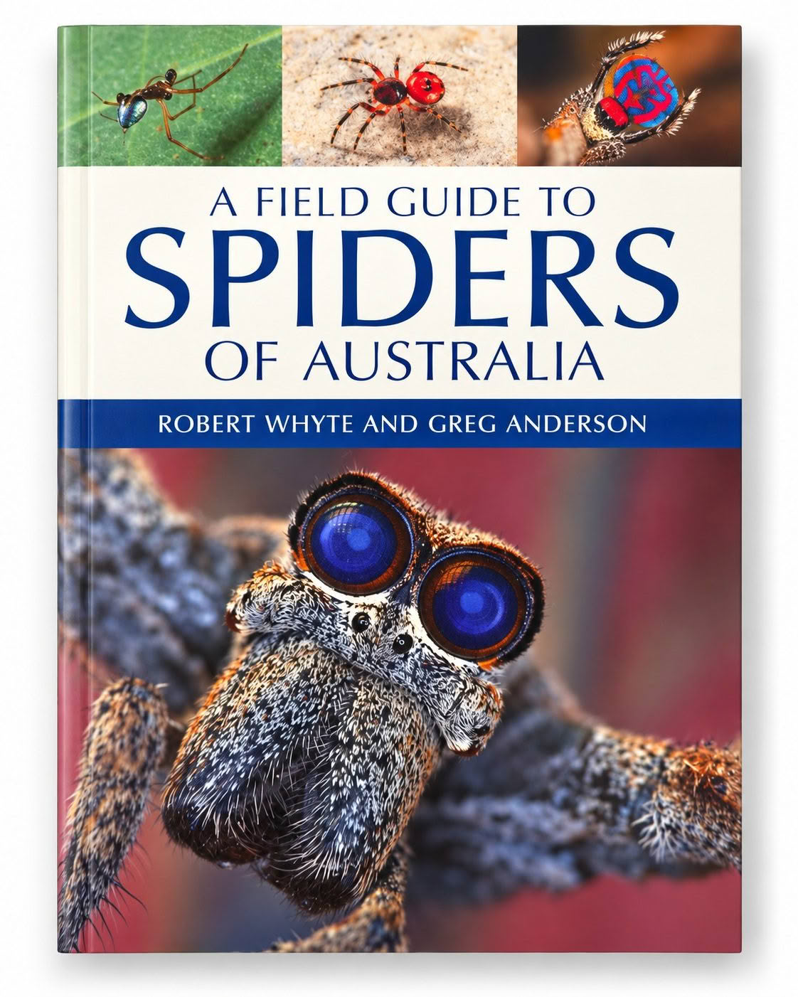 A Field Guide to Spiders of Australia book cover