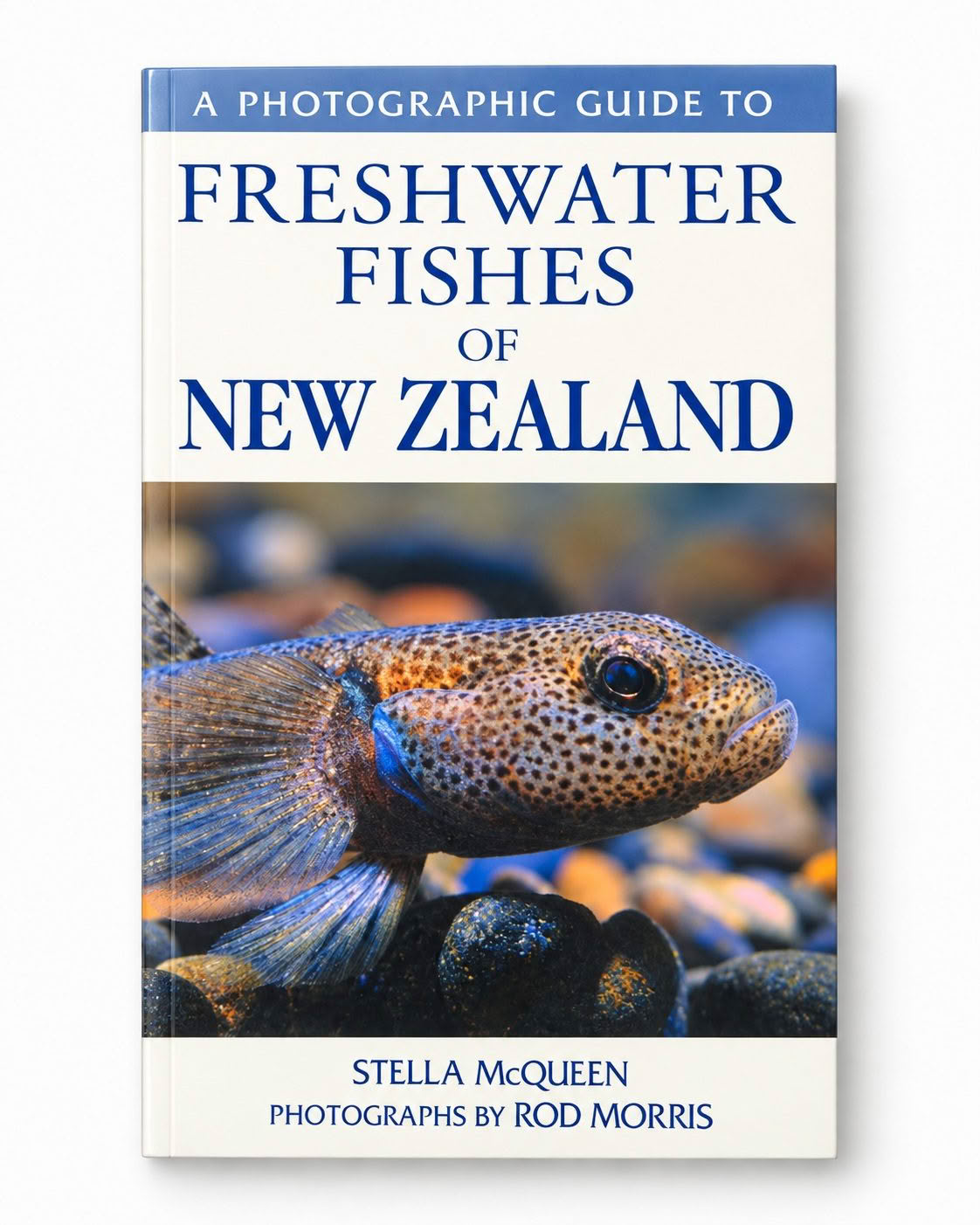 A Photographic Guide to Freshwater Fishes of New Zealand