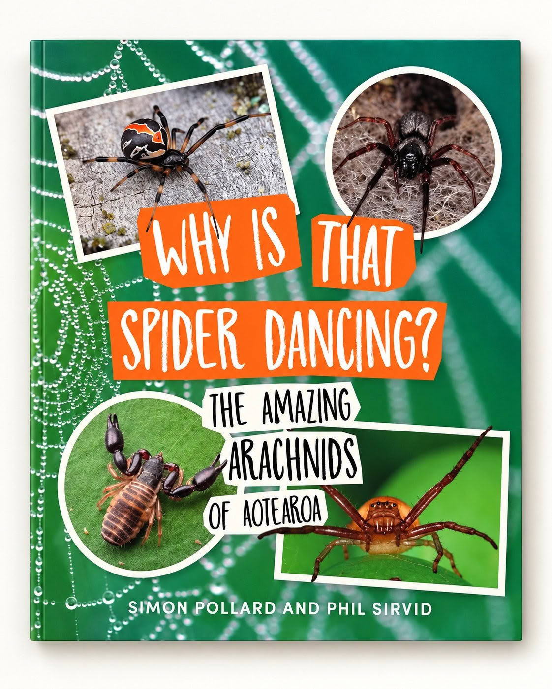Why is That Spider Dancing? The Amazing Arachnids of Aotearoa book cover