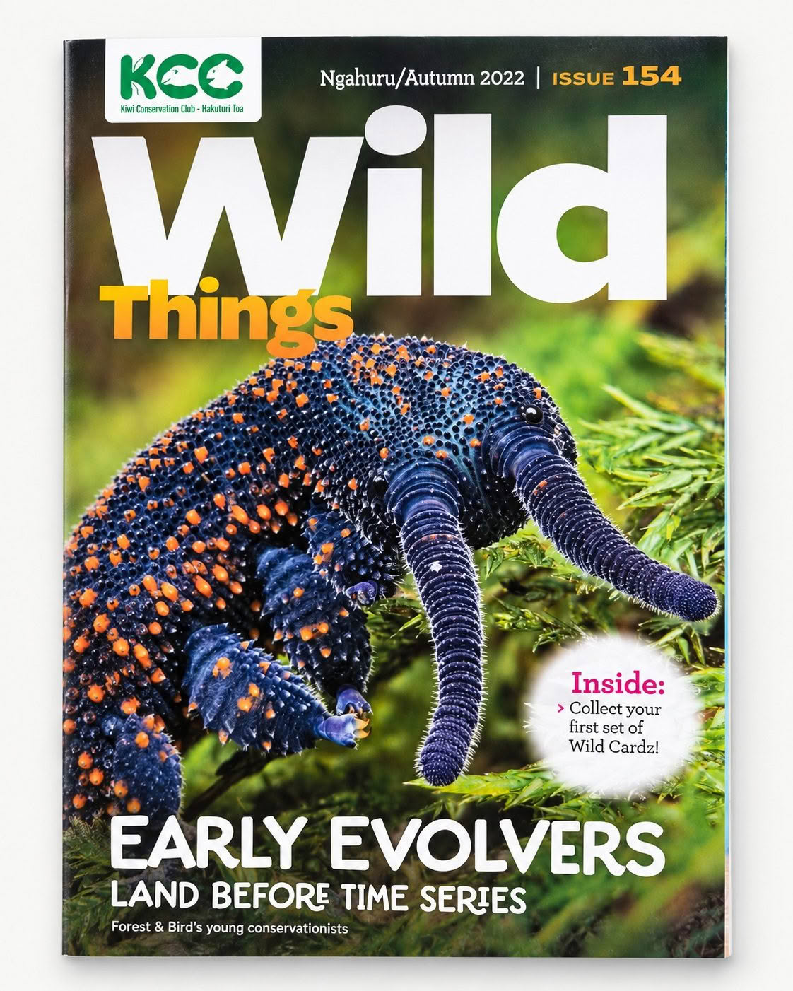 Wild Things Issue 154 Autumn 2022 Early Evolvers cover