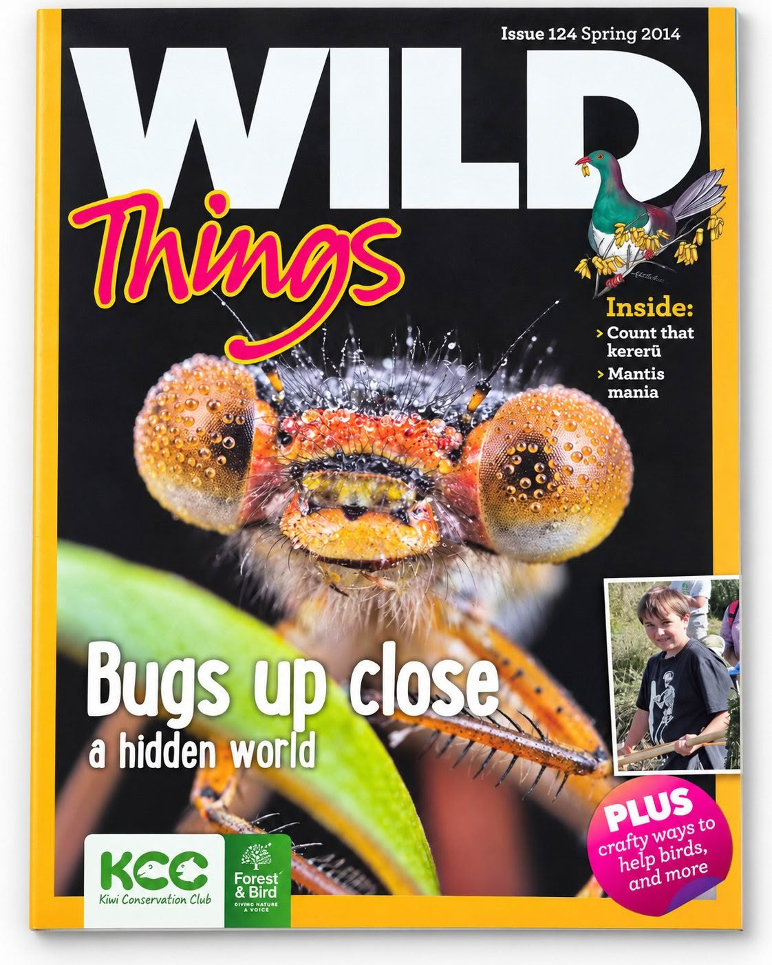 Wild Things Issue 124 Spring 2014 Bugs up close cover