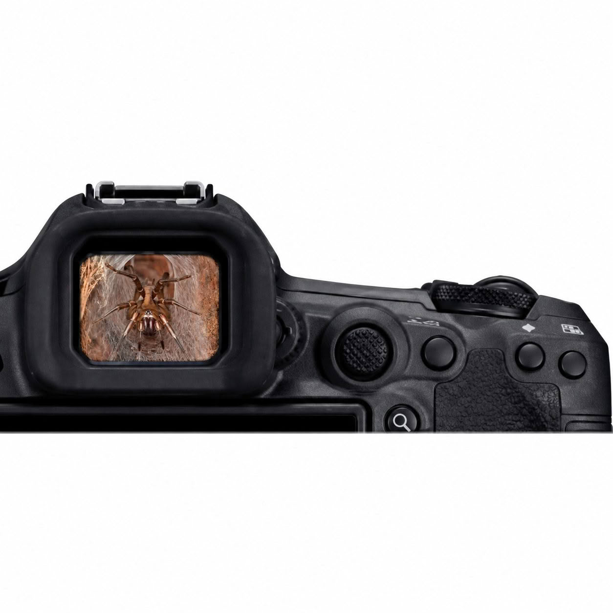 Canon R5 Mark II electronic viewfinder