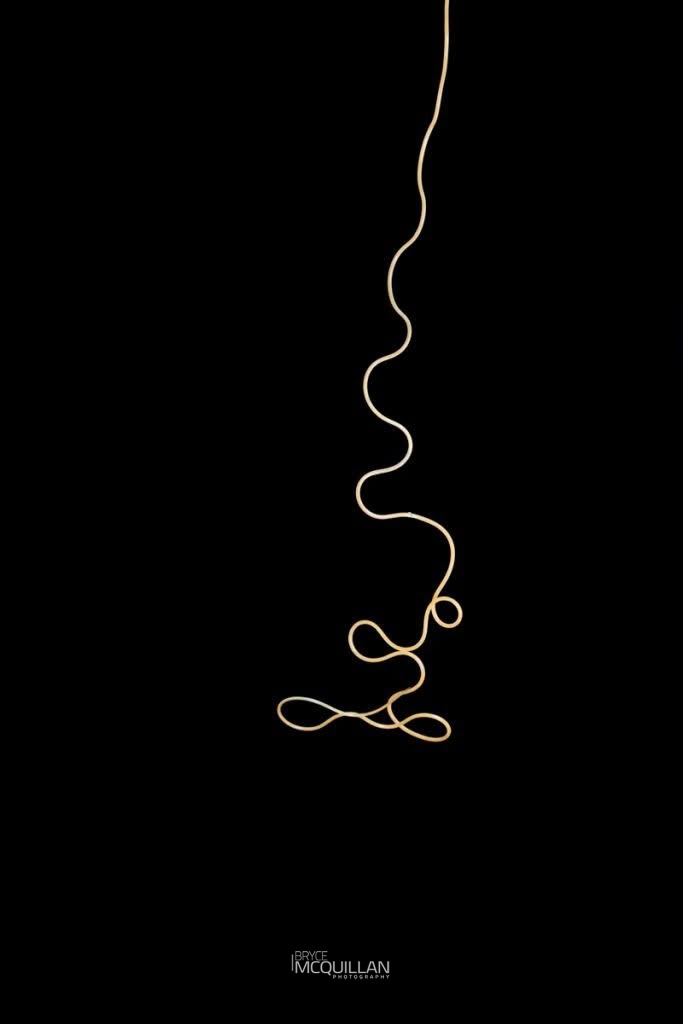 parasitic worm, photographed in New Zealand by Bryce McQuillan