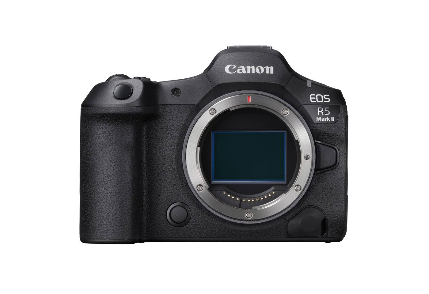 Canon R5 MKII – Best Canon camera I’ve used for macro photography