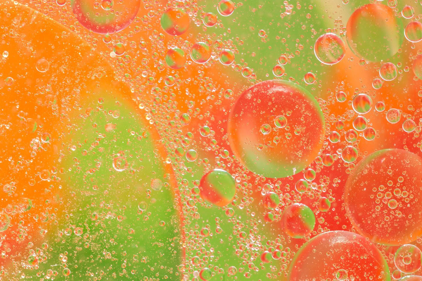 Colourful macro bubble photograph by Bryce McQuillan