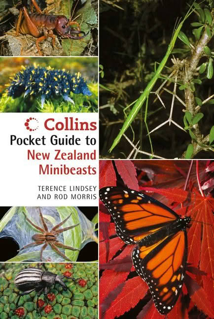 Collins Pocket Guide to New Zealand Minibeasts book cover