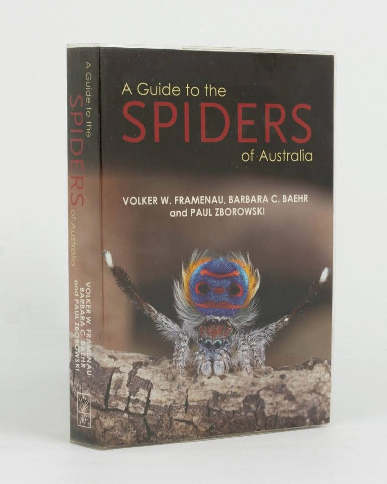 A Guide to the Spiders of Australia book cover