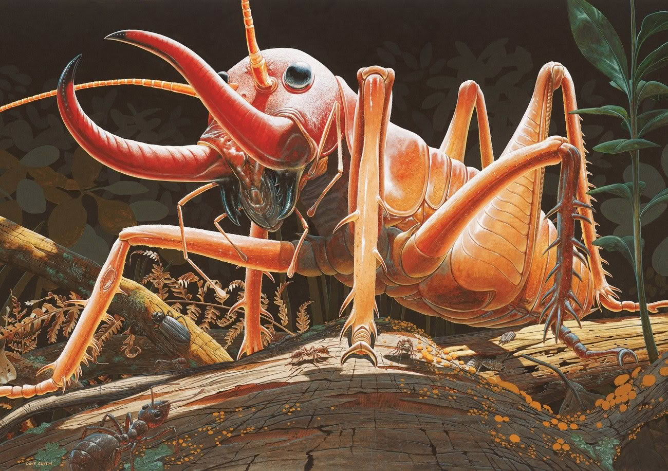 Wētā Workshop