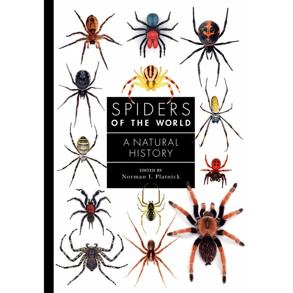 Spiders of the World A Natural History book cover